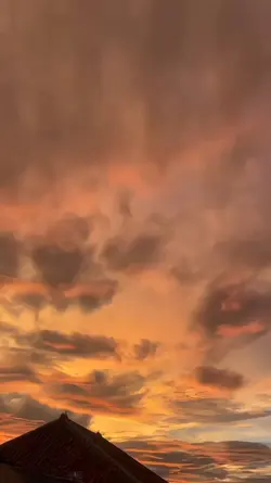 jangan me langit