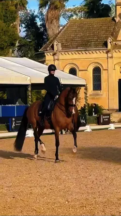 no slowmo