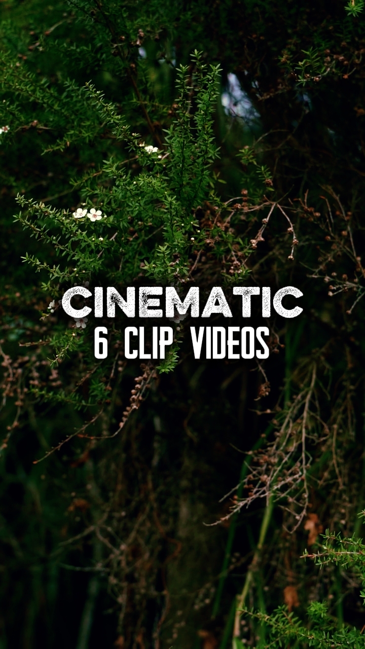 6 Klip videosu