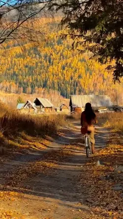 Fall Seasons