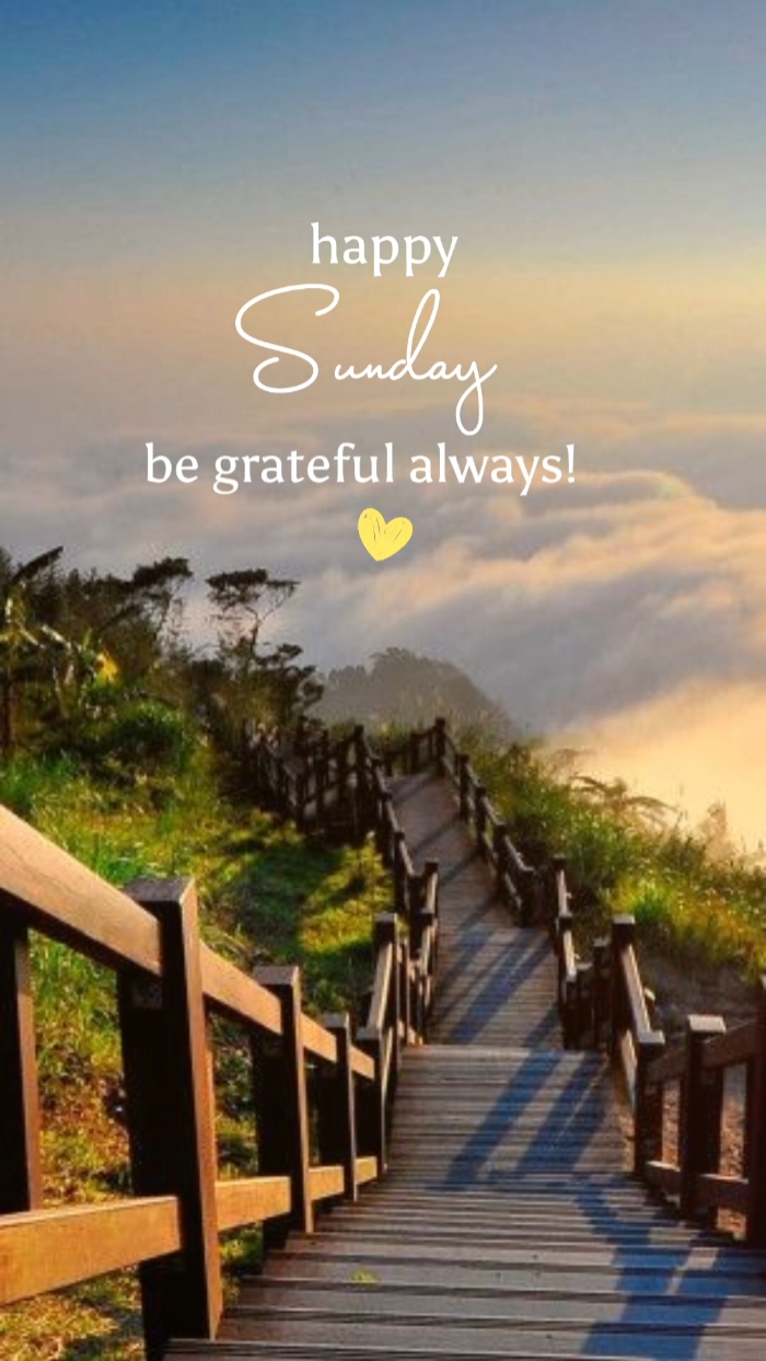 Happy Sunday