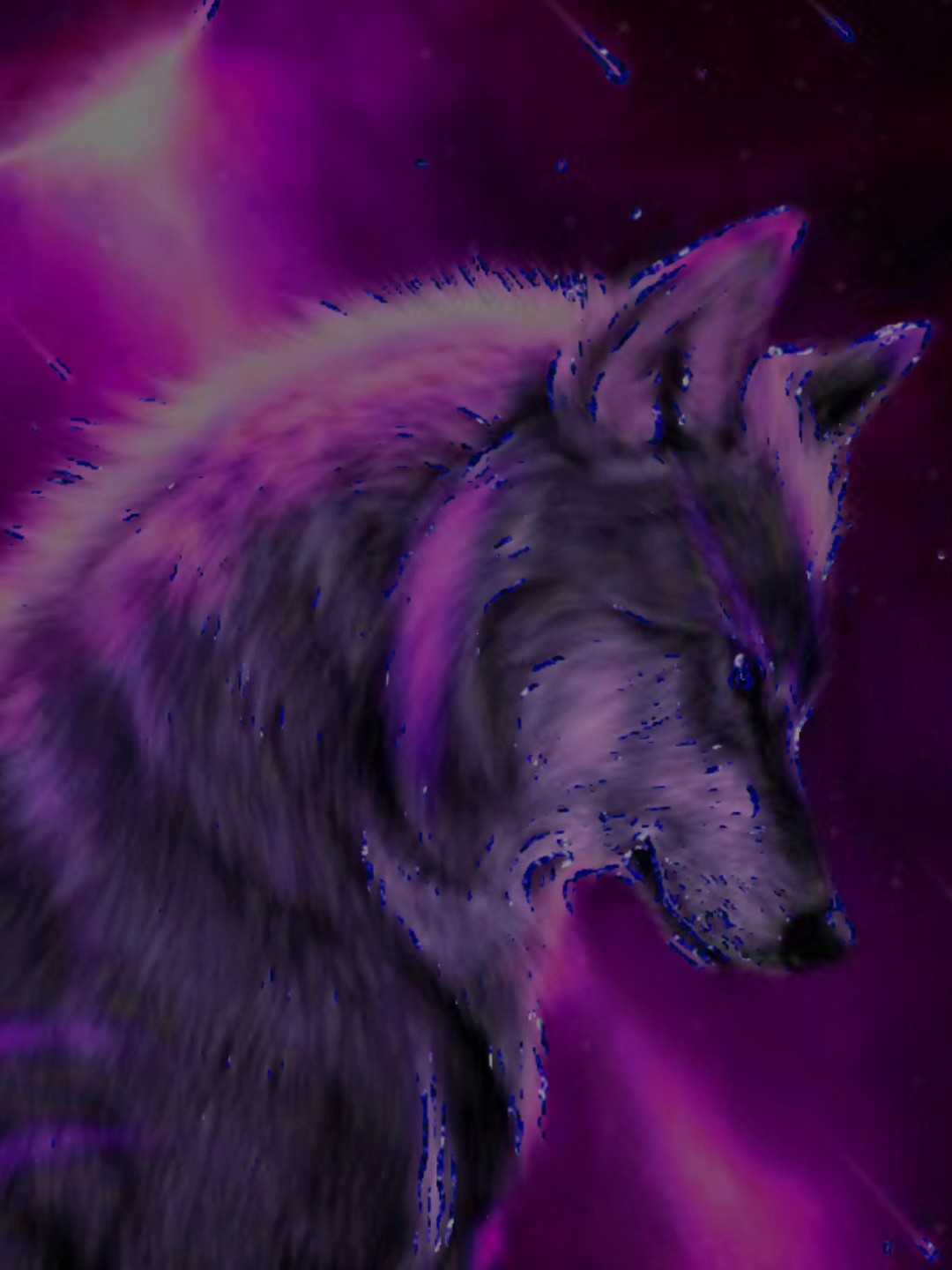 신인캡크에 첫 영상