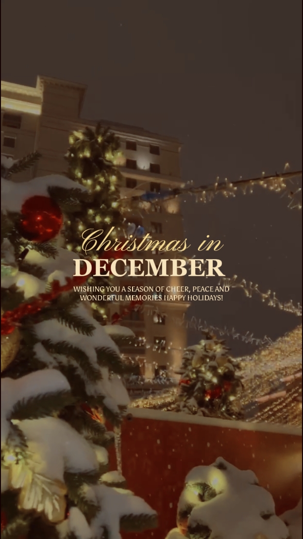 INDECEMBRE DE NAVIDAD
