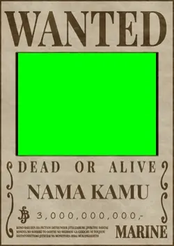 One Piece Poster