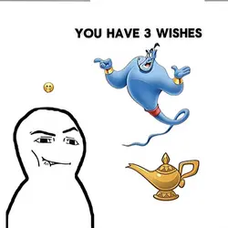 your 3 wishes 
