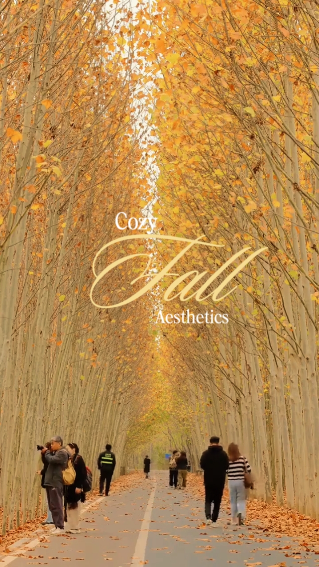 Estética De Otoño Acogedor 