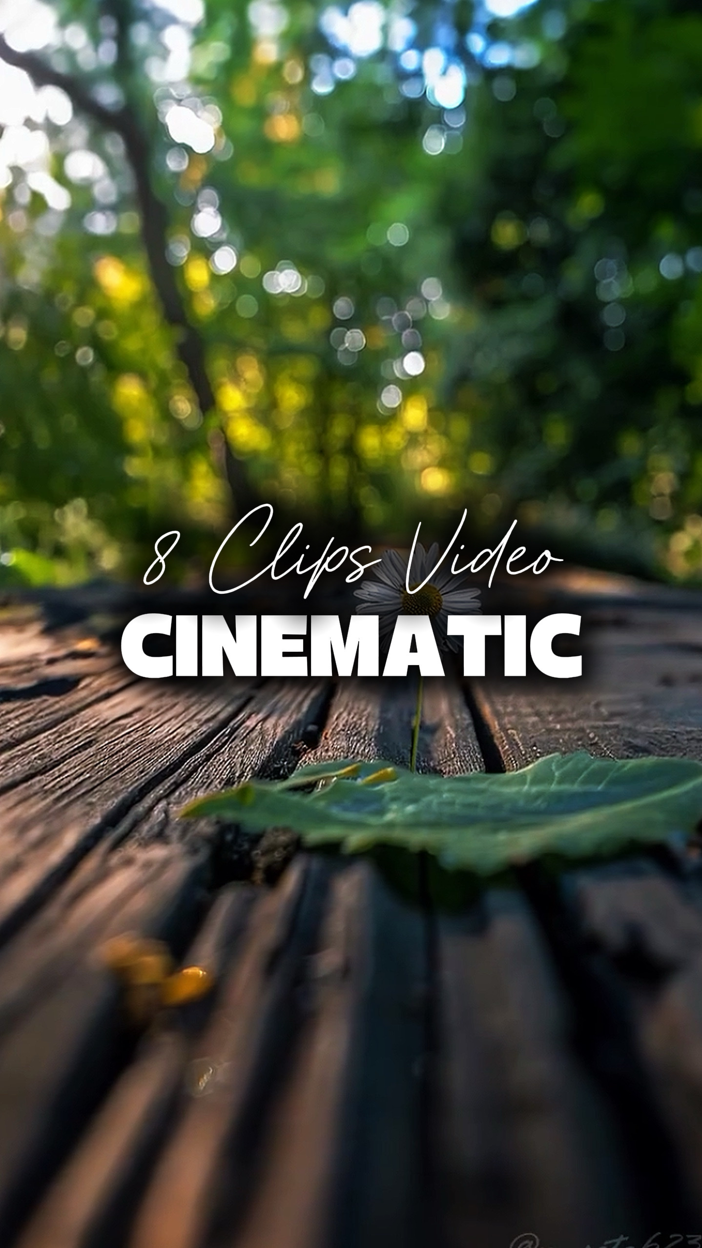 8 Videos Cinematic 
