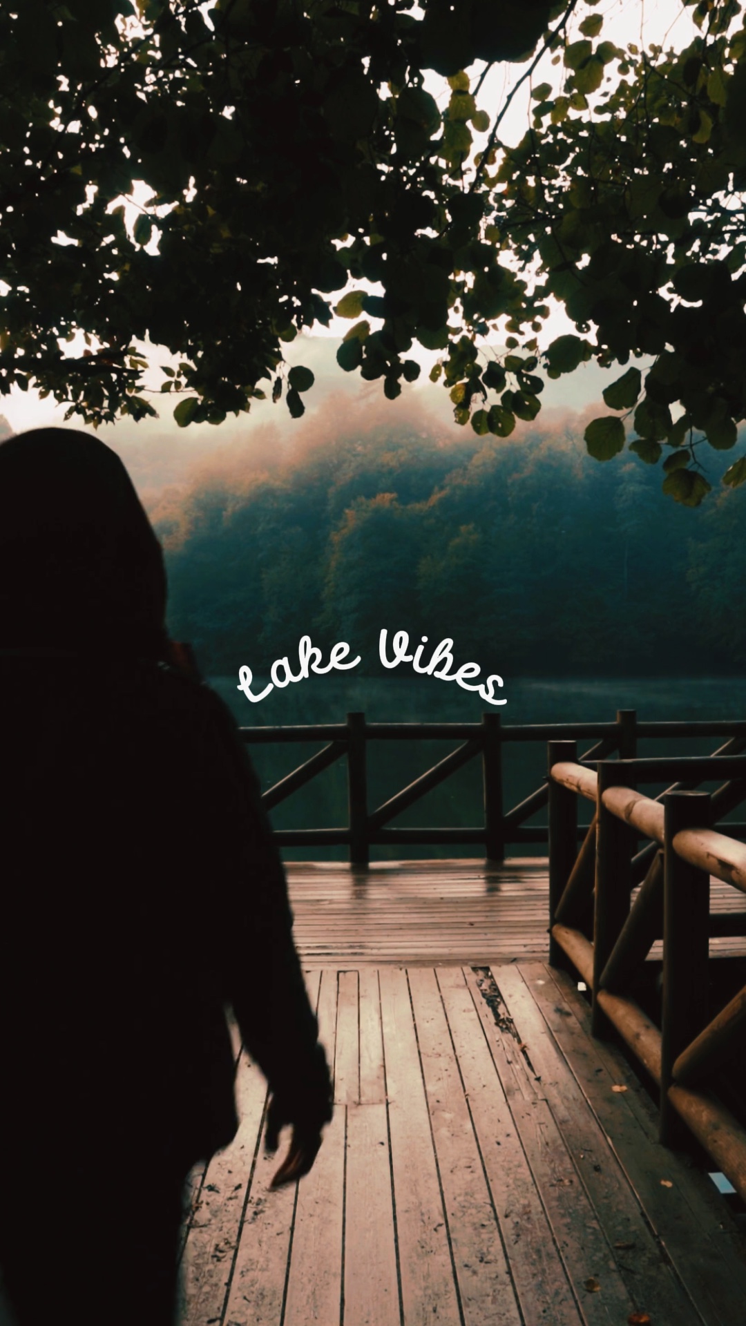 Vibes du lac 