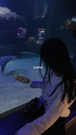 Wahai Sahabatku