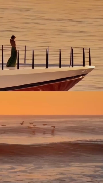 Sunset Moments 