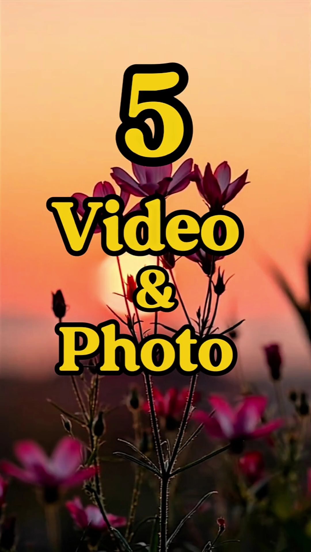 Blumen-Vibes