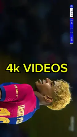 HD/4K VIDEOS 