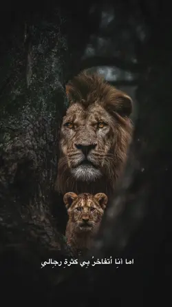 اما انا اتفاخر بكثرة