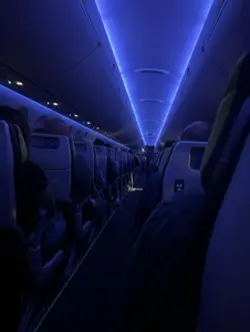 zombies x descendant