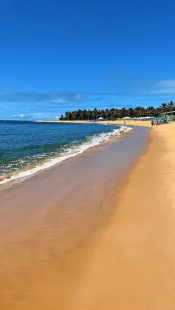 Vlog viage cinematic