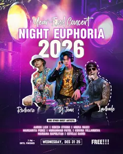 flyer party