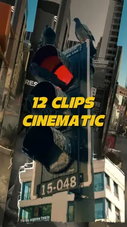 12 Clips Cinematic