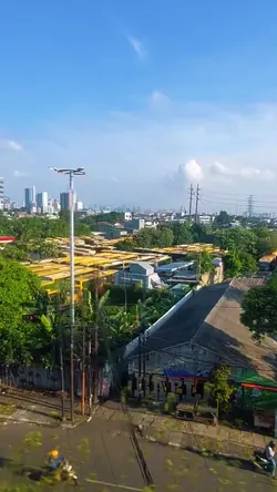 suci dalam debu