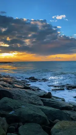 Yeni Şablon