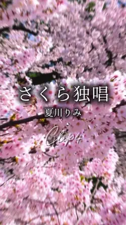 さくら独唱/夏川りみ