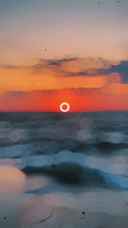 Viral Slow Motion ❤️