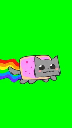 NYAN CAT MEME