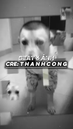 vì thương em nên