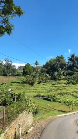 Surat izin ngaroko 