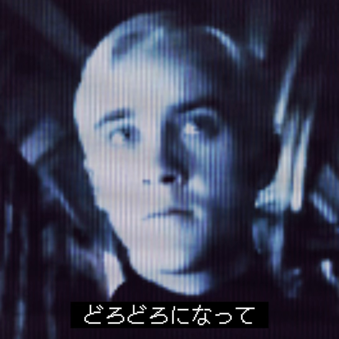 最近流行りのこれ👍🏻