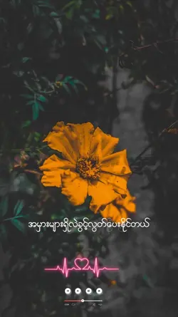 รองใส่รูป