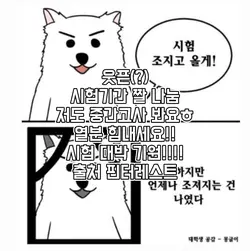시험기간 짤 나눔