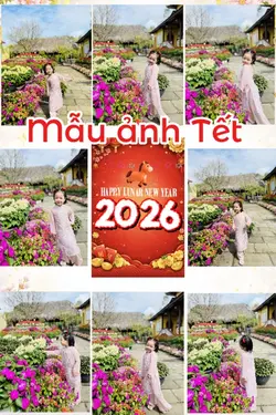 Mẫu ảnh tết 2026