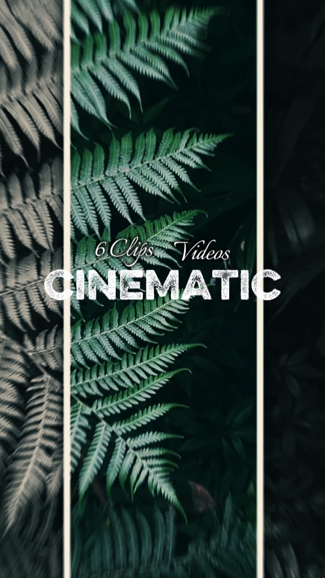 6 Klip sinema