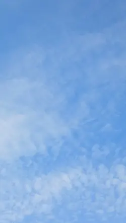 저한테 악플다세요...
