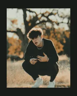 Aesthetic_