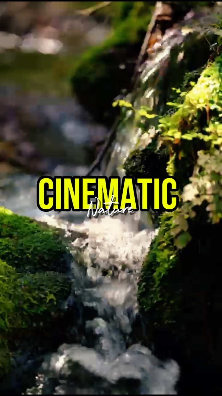 CINEMATIC 
