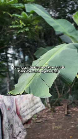 KECE
