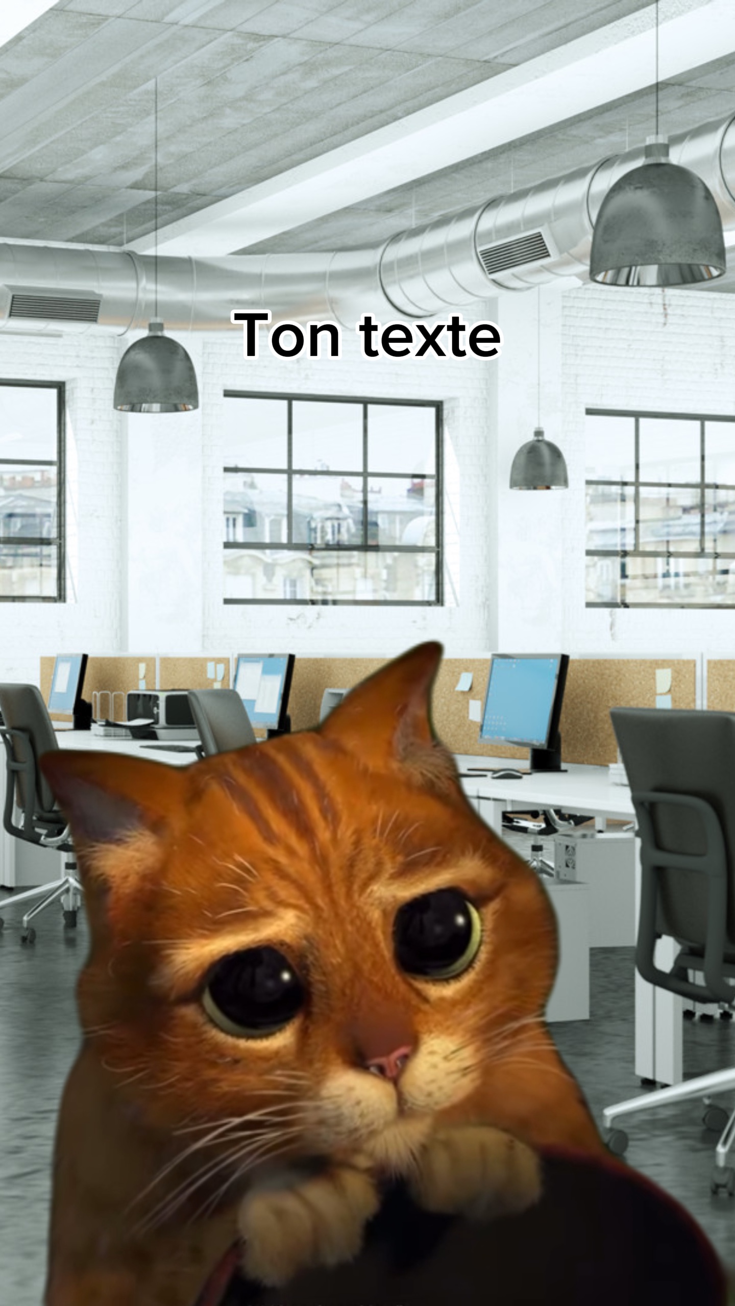 Chat potté gros yeux