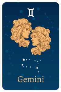 Gemini 2 Template