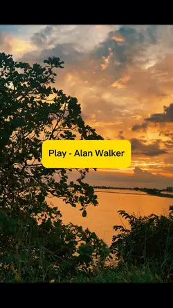 Play - Alan Walker