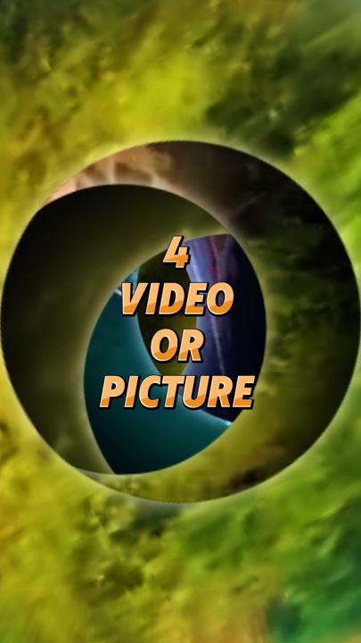 4 video or picture 