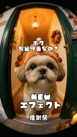 NEWエフェクト 感謝祭