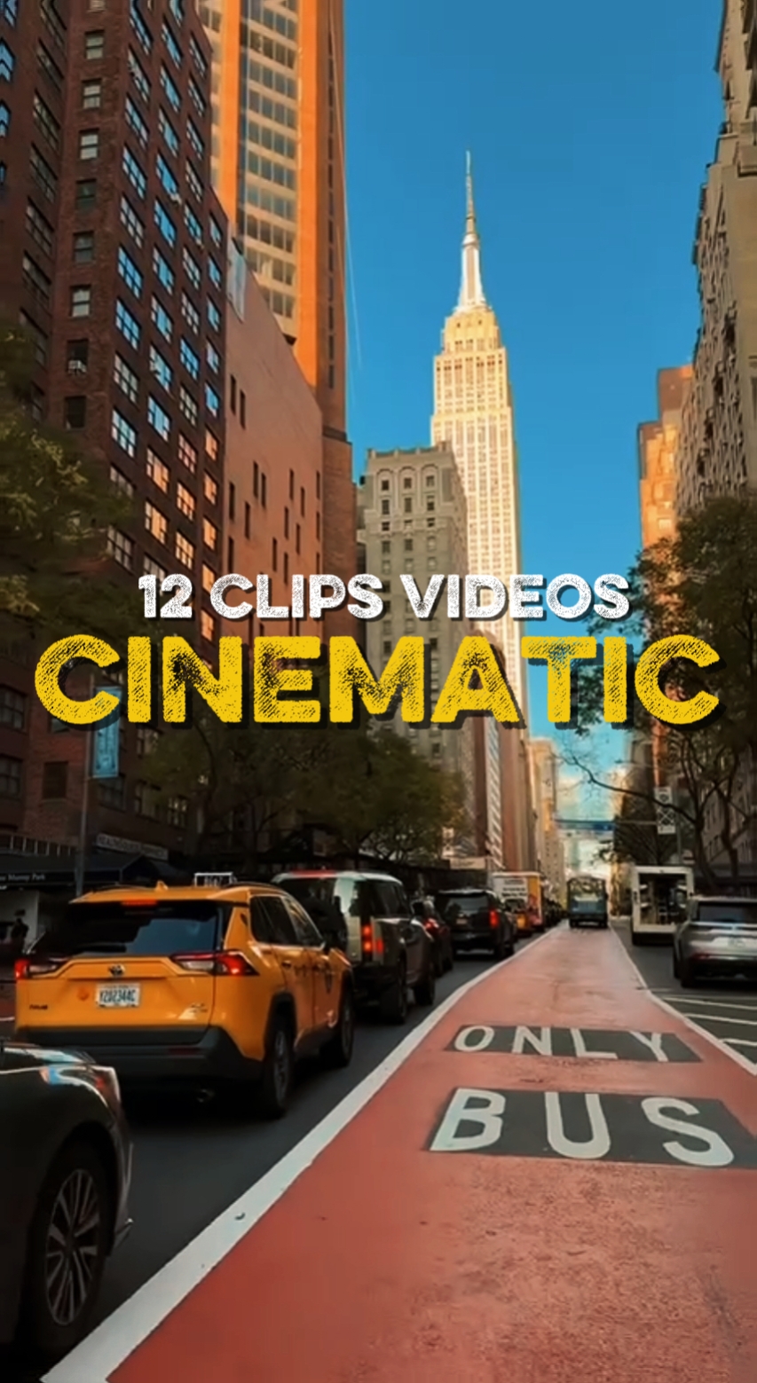 CINEMATIC CITY