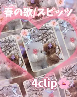 春の歌/スピッツ/4clip
