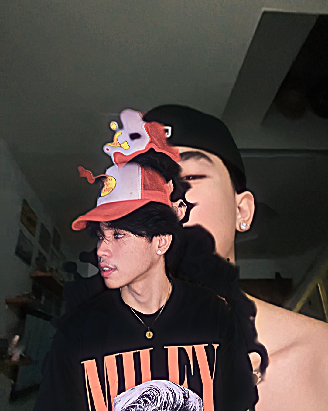 Cover Picture