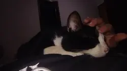 saudades de você...