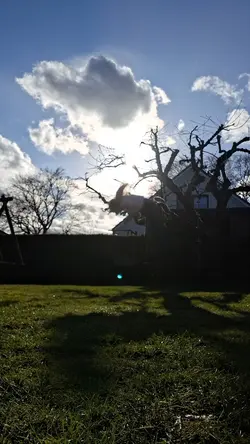 Therian slowmo