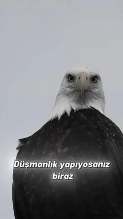 Kaliteli olun..