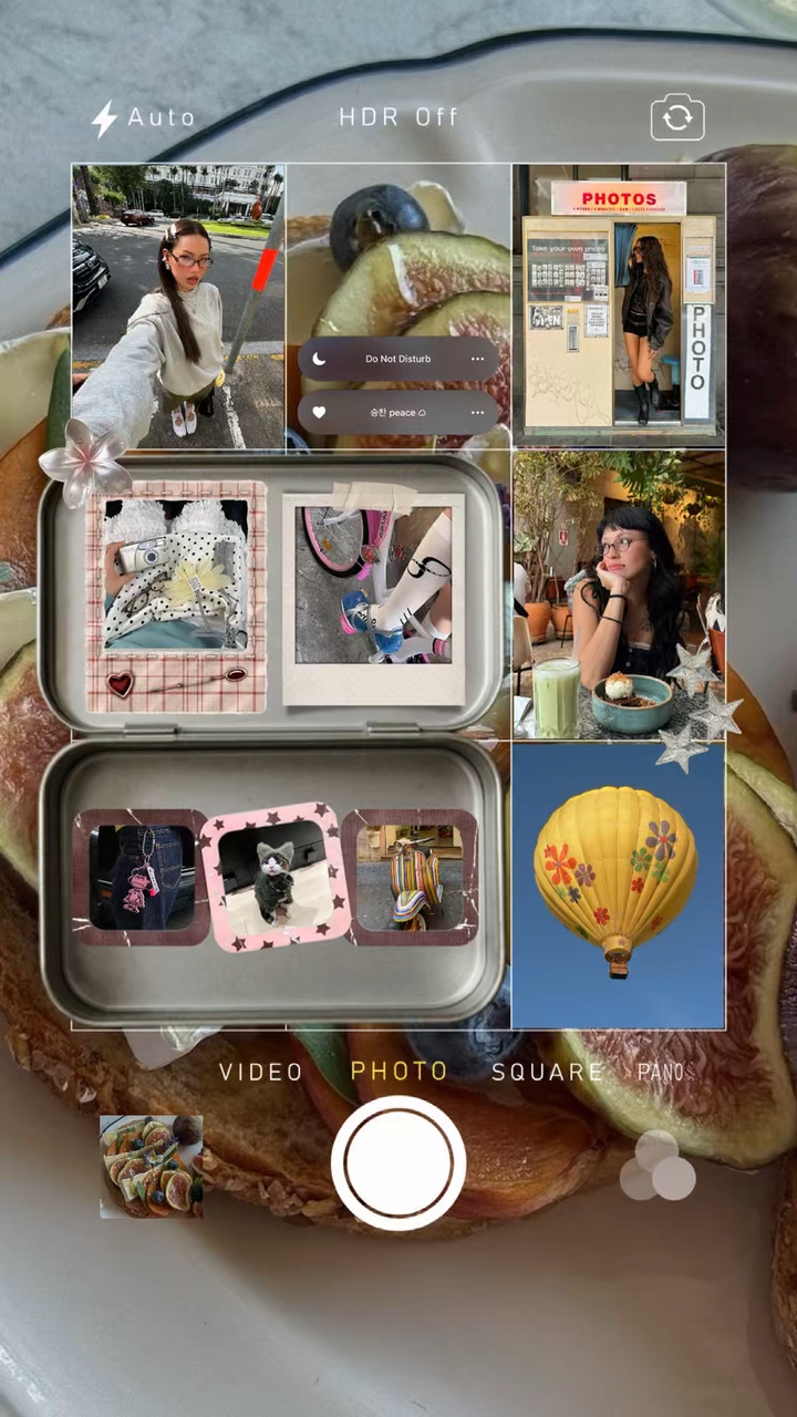 Cover Picture