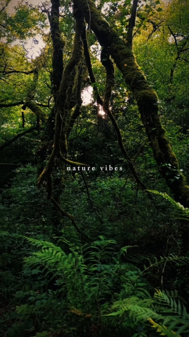Nature vibes 